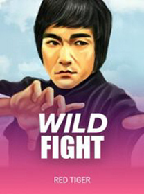 Panduan Bermain Wild Fight untuk Pemula Lengkap